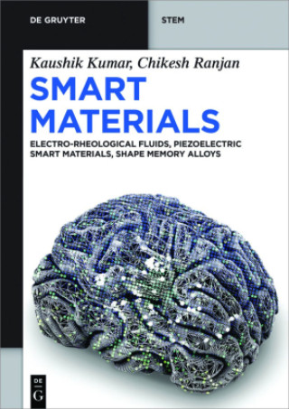 Buch Smart Materials Kaushik Kumar