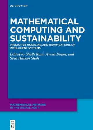 Kniha Mathematical Computing and Sustainability Shalli Rani