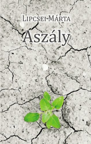 Libro Aszály Lipcsei Márta