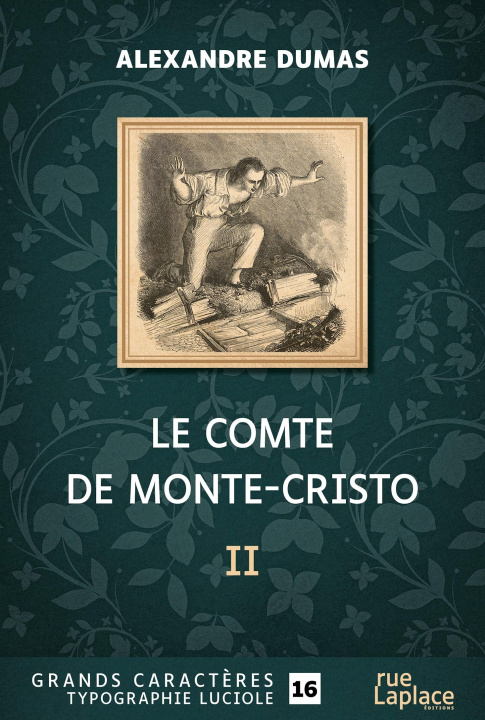 Buch LE COMTE DE MONTE-CRISTO - DEUXIEME PARTIE - GRANDS CARACTERES, EDITION ACCESSIBLE POUR LES MALVOYAN DUMAS ALEXANDRE
