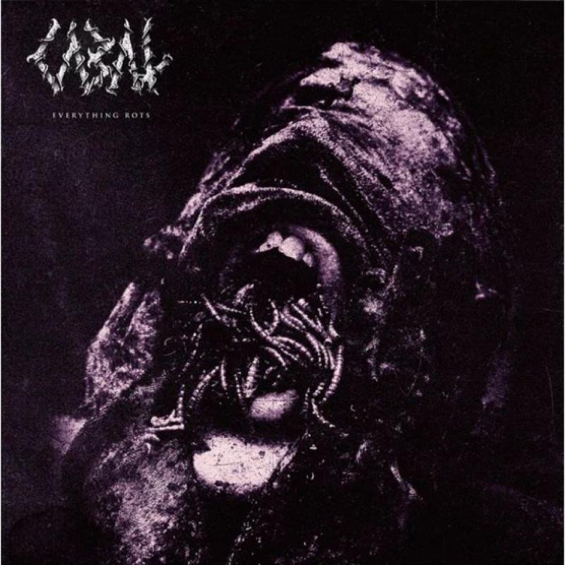 Audio Cabal:  Everything Rots Cabal