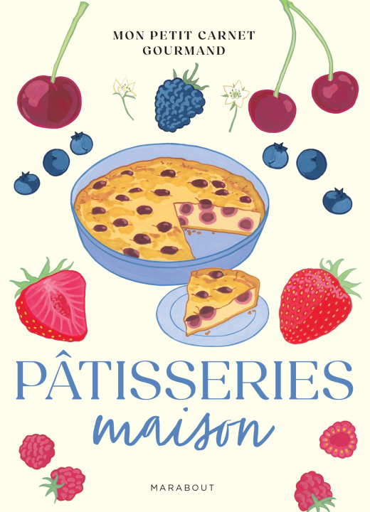 Knjiga Mes petites pâtisseries illustrées 
