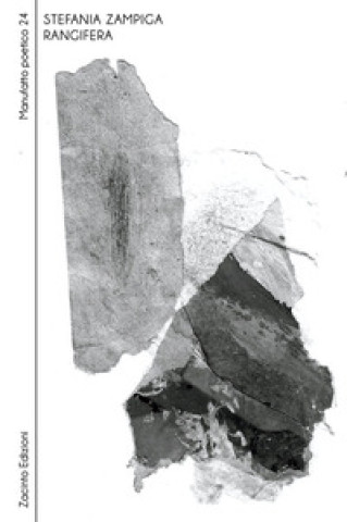 Book Rangifera Stefania Zampiga