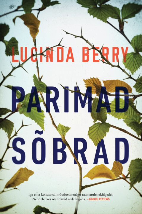Buch Parimad sõbrad Lucinda Berry