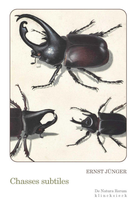 Knjiga Chasses subtiles Ernst Jünger