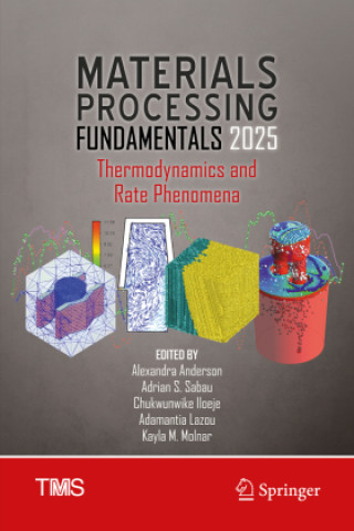 Book Materials Processing Fundamentals 2025 Alexandra Anderson