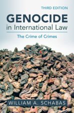 Genocide in International Law