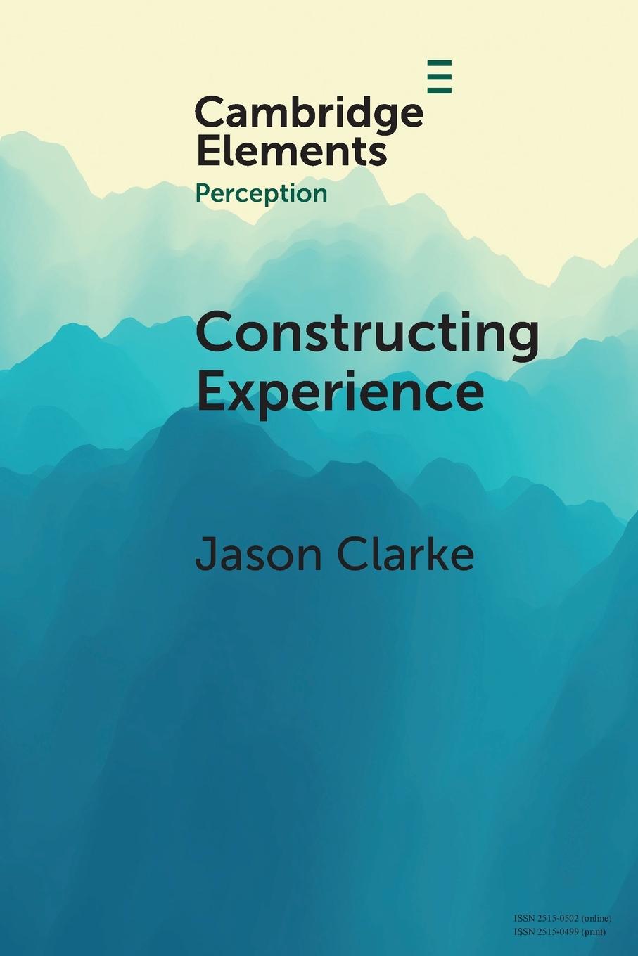 Knjiga Constructing Experience Jason Clarke