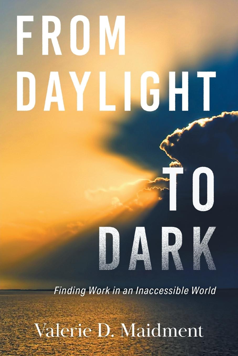 Knjiga From Daylight to Dark Valerie D. Maidment