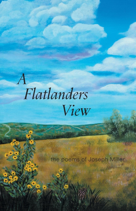 Book A Flatlanders View Joseph Miller
