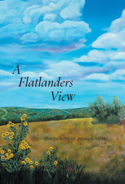 Book A Flatlanders View Joseph Miller