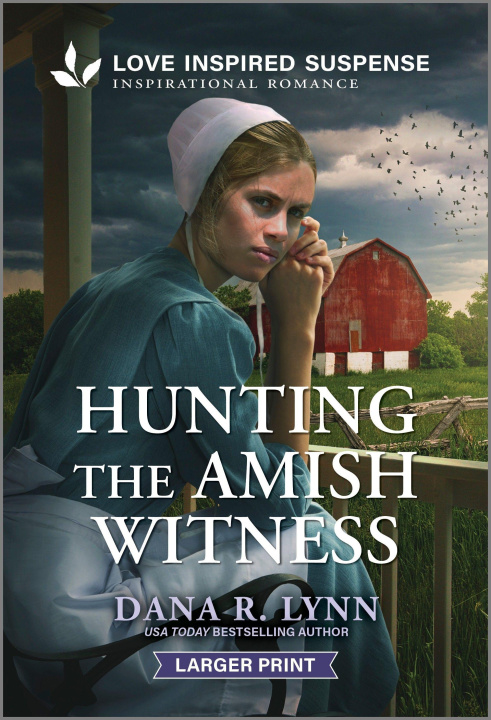 Buch Hunting the Amish Witness 