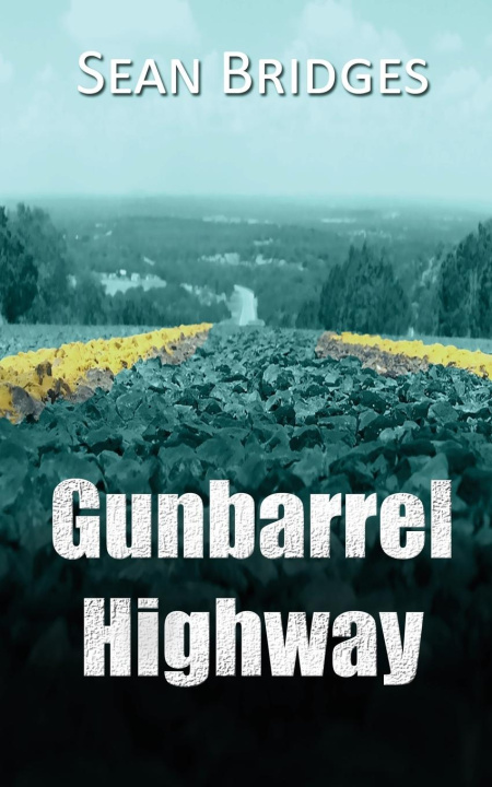 Knjiga Gunbarrel Highway Sean Bridges