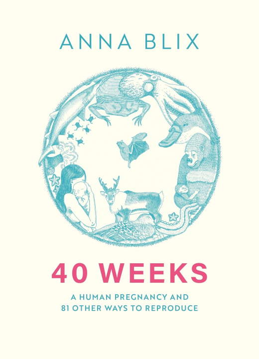 Book 40 Weeks Nichola Smalley