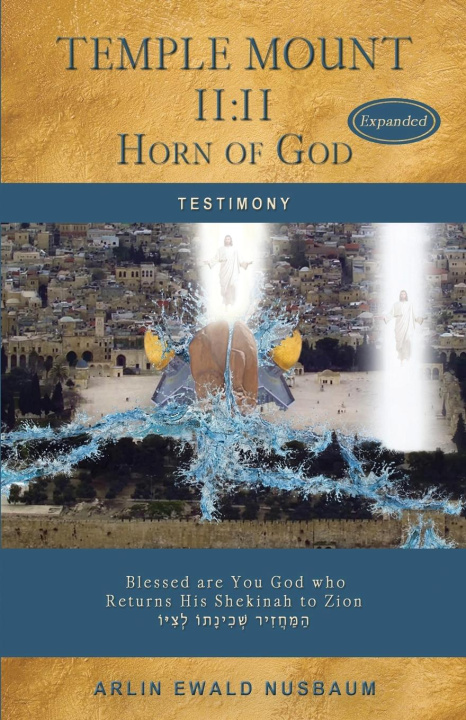 Book Temple Mount 11 Arlin Ewald Nusbaum