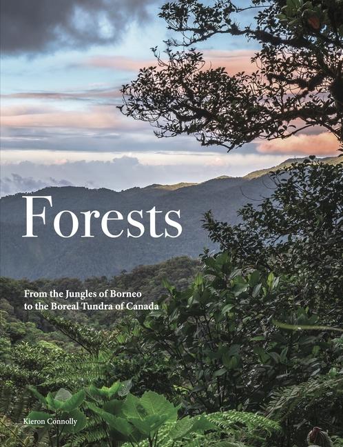 Könyv Forests Kieron Connolly