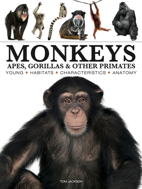 Libro Monkeys Tom Jackson