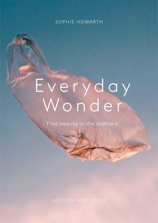 Книга Everyday Wonder Sophie Howarth