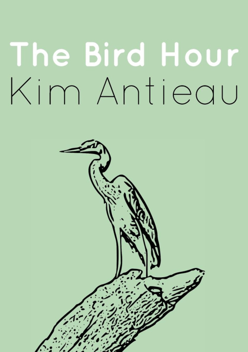 Knjiga The Bird Hour Kim Antieau