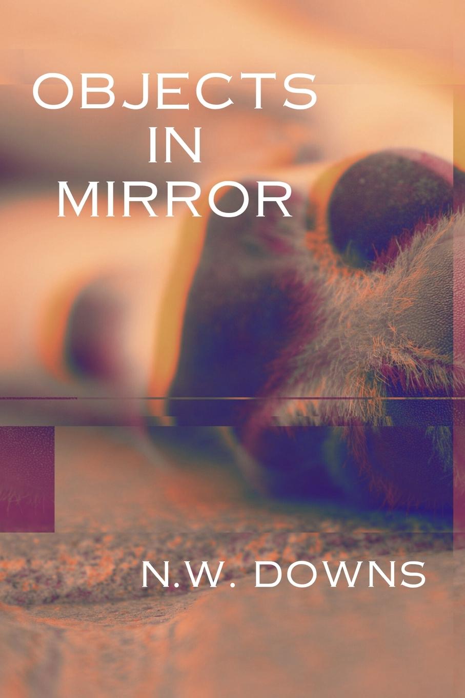 Knjiga Objects in Mirror N.W. Downs