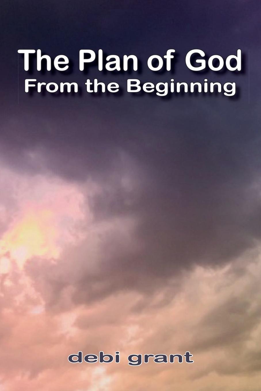 Kniha The Plan of God From the Beginning debi grant