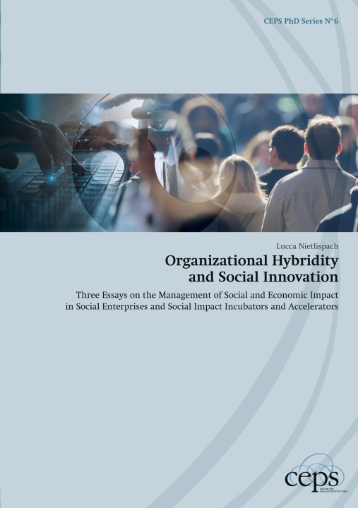 Knjiga Organizational Hybridity and Social Innovation Lucca Nietlispach