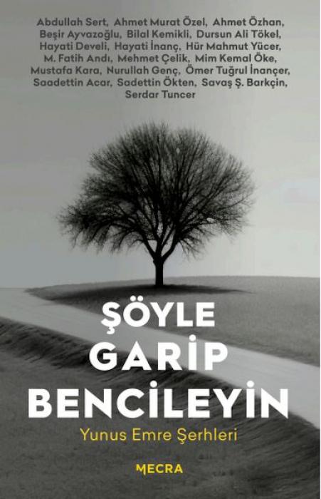 Buch Söyle Garip Bencileyin Hür Mahmut Yücer