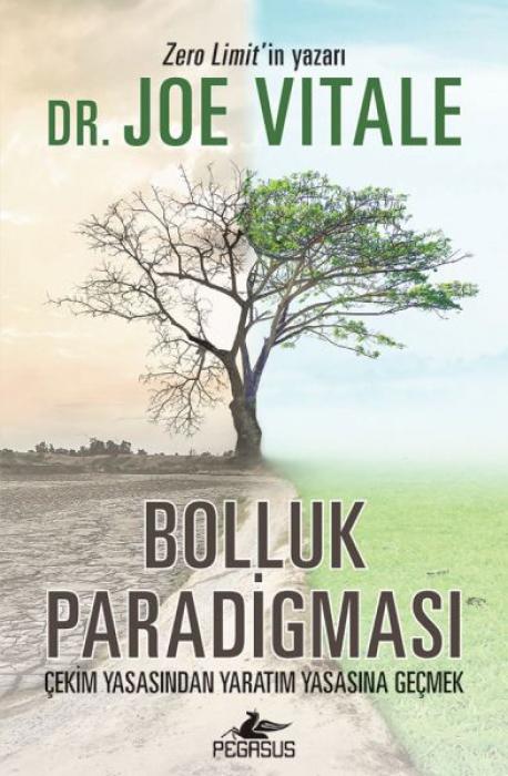 Книга Bolluk Paradigmasi 
