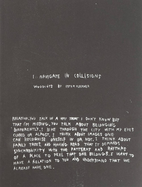 Knjiga Ester Fleckner: I Navigate in Collisions 