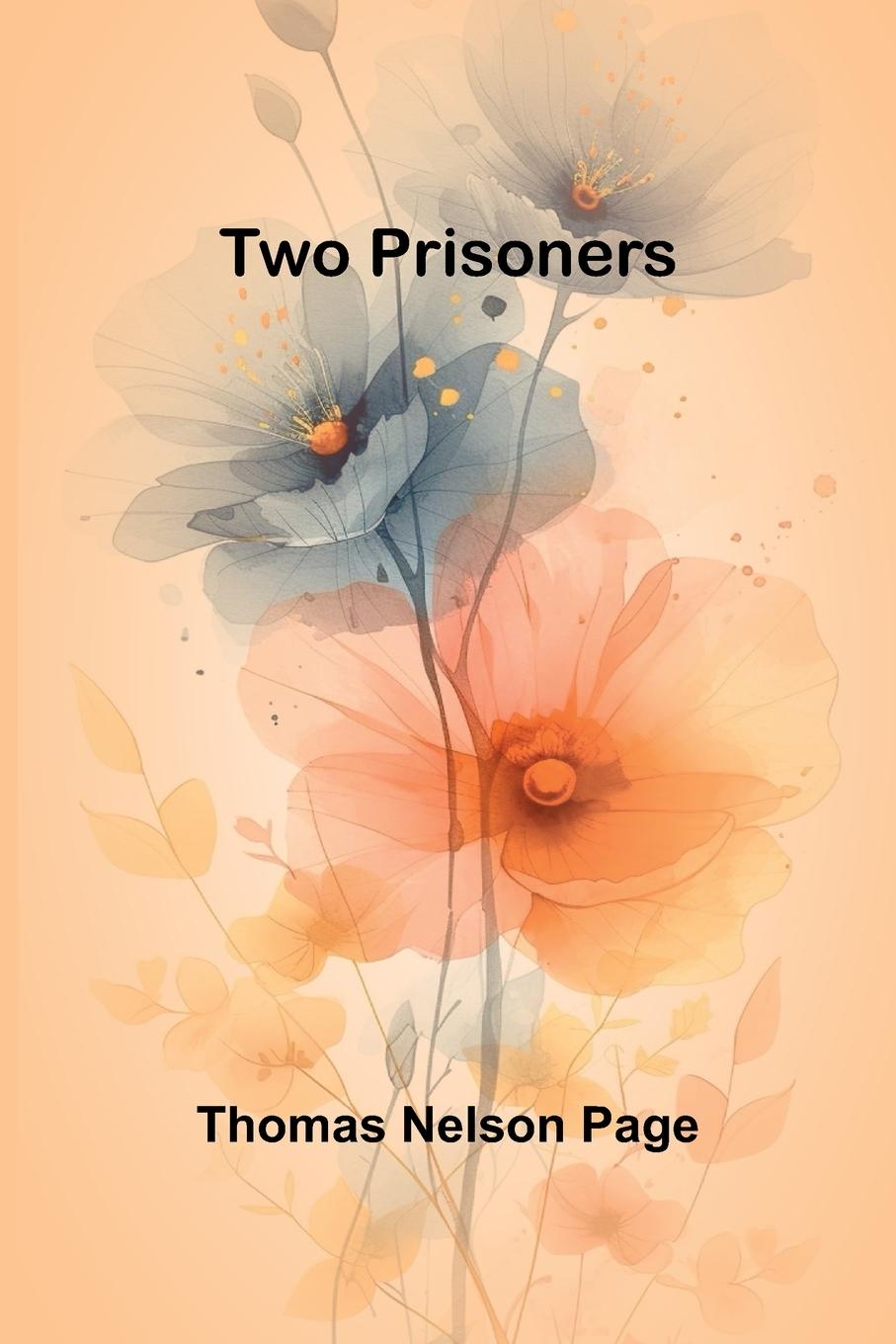 Knjiga Two Prisoners Thomas Nelson Page