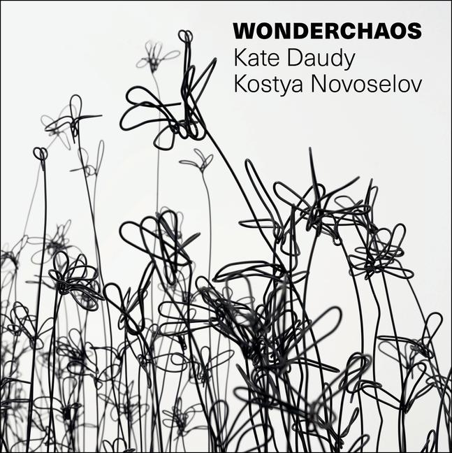Книга Wonderchaos Kate Daudy