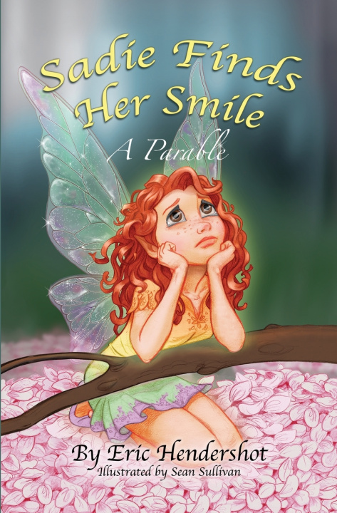 Knjiga Sadie Finds Her Smile Sean Sullivan