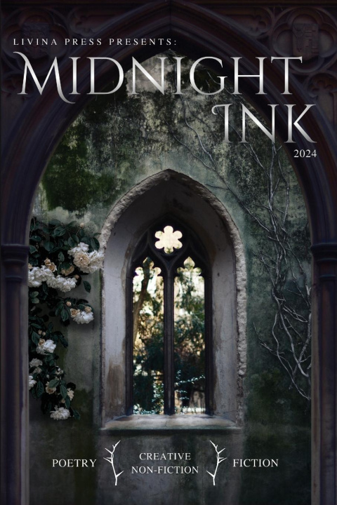Книга Midnight Ink Laci Felker
