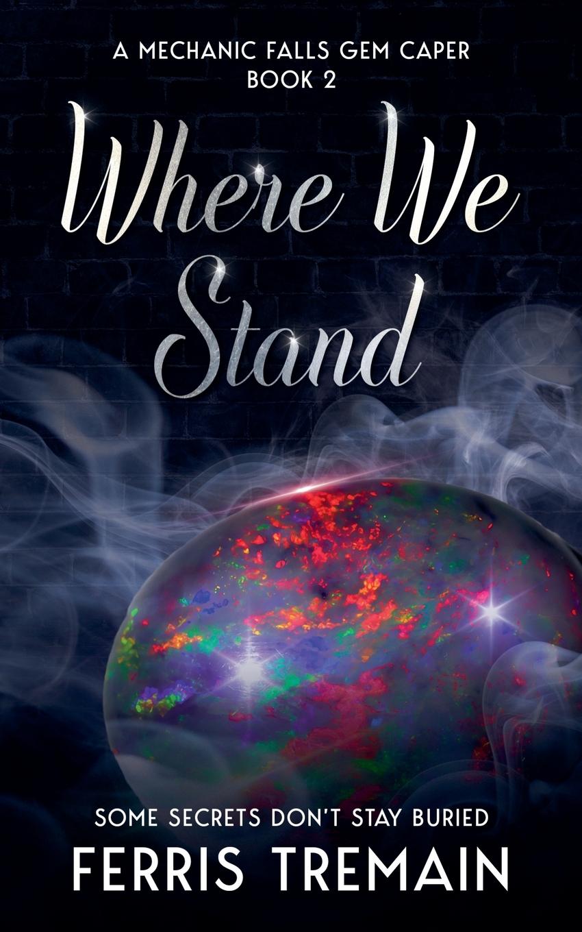 Buch Where We Stand Ferris Tremain