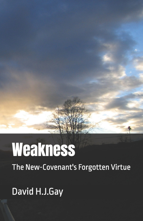 Knjiga Weakness David H.J. Gay
