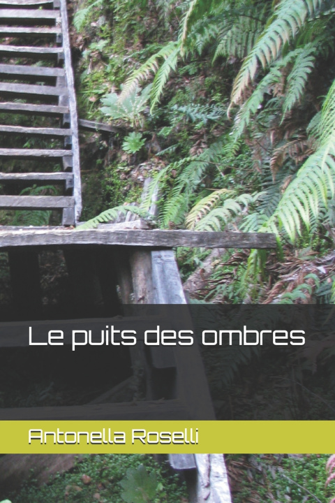 Книга Le puits des ombres Antonella Roselli