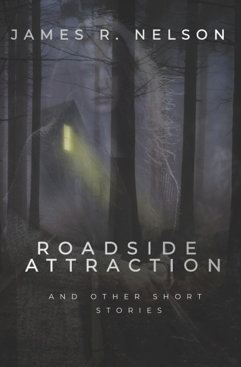 Knjiga Roadside Attraction James R. Nelson