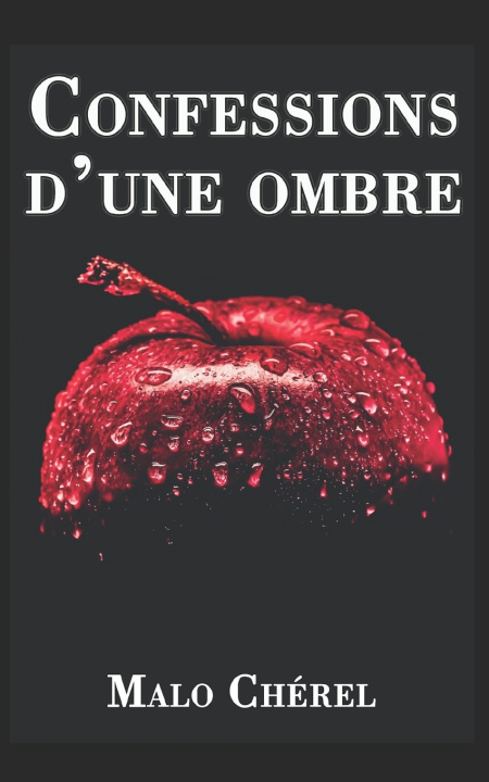 Knjiga Confessions d'une ombre Malo Chérel