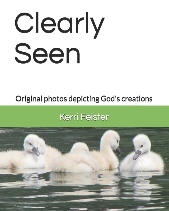 Knjiga Cleary Seen Kerri Feister