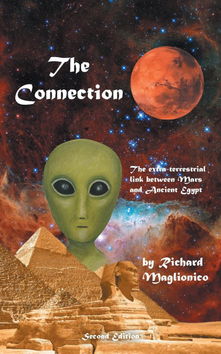 Knjiga The Connection Richard Maglionico