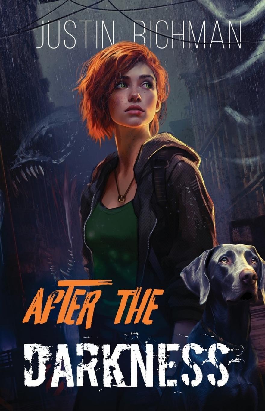 Book After The Darkness Justin Richman