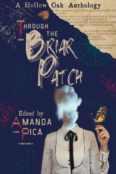 Knjiga Through the Briar Patch Amanda Pica