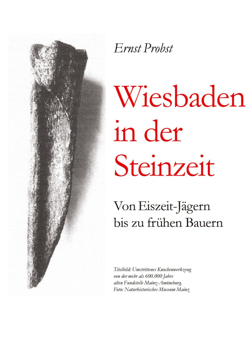Книга Wiesbaden in der Steinzeit Ernst Probst