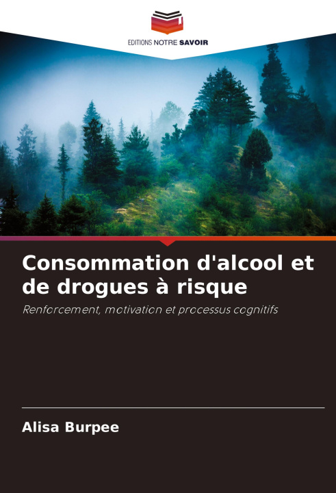 Buch Consommation d'alcool et de drogues à risque Alisa Burpee