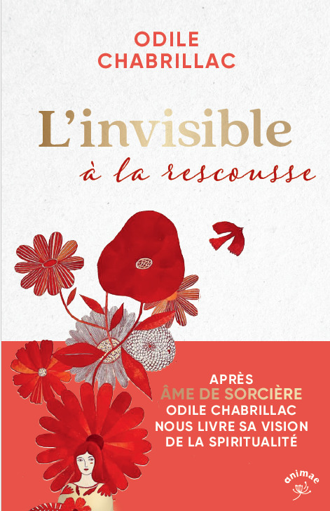 Книга L'invisible à la rescousse Chabrillac