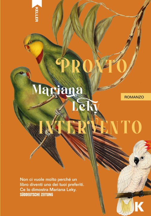 Buch Pronto intervento Mariana Leky