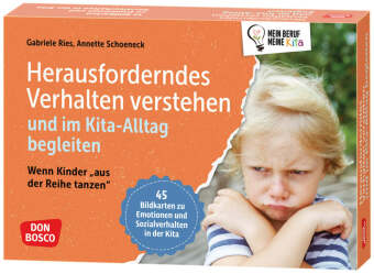 Kniha Herausforderndes Verhalten verstehen und im Kita-Alltag begleiten Annette Schoeneck