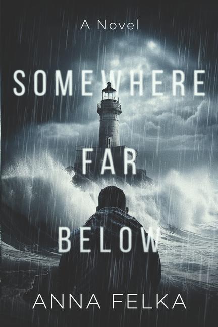 Knjiga Somewhere Far Below Anna Felka