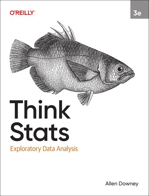 Kniha Think STATS DOWNEY ALLEN B