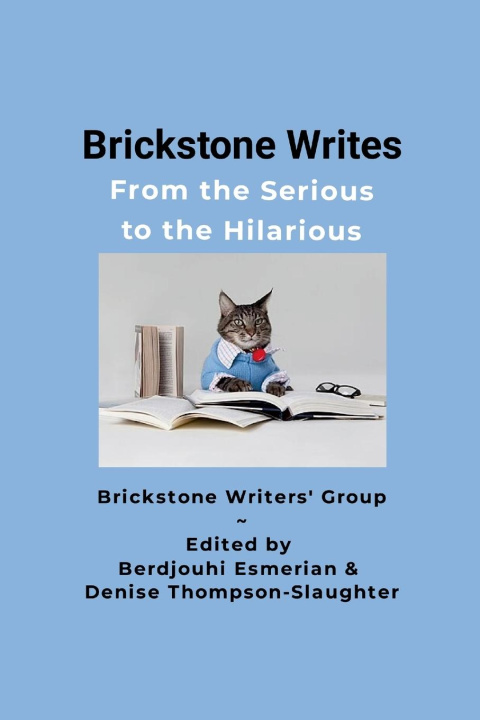 Book Brickstone Writes Denise Thompson-Slaughter